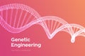 DNA sequence. Wireframe DNA molecules structure mesh. DNA code editable template. Science and Technology concept. Vector