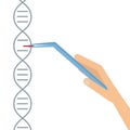 Dna sequencing genome information saving Royalty Free Stock Photo