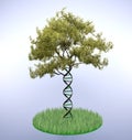 Dna shaped tree trunk Royalty Free Stock Photo