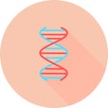 DNA spiral in circle icon with long shadows. Deoxyribonucleic, nucleic acid helix. Spiraling strands. Chromosome. Molecular biolog