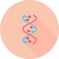 DNA spiral in circle icon with long shadows. Deoxyribonucleic, nucleic acid helix. Spiraling strands. Chromosome. Molecular biolog