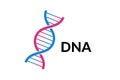 DNA spiral isolated. Vector deoxyribonucleic acid gene part. Modern simple microbiological genetic helix element