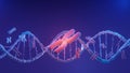 DNA spiral structure. DNA Helix complementary strand of Sequences genetic code or genome. Gene expression. nucleotide database.