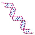 Dna sprial isolated