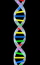 DNA strand