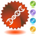 DNA Strand Royalty Free Stock Photo