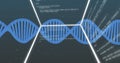 DNA strand and coding data processing image over dark background Royalty Free Stock Photo