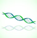 DNA strand double helix spiral icon vector set