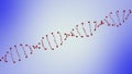 DNA Strand. human dna structure Background. rotating DNA molecules in chromosomes