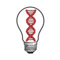 Dna Strand Inside Lightbulb Symbolizing Scientific Innovation and Genetic Breakthrough on White Royalty Free Stock Photo