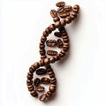 Dna strand made of coffee beans on a bright white surface isolated on  white  background Royalty Free Stock Photo