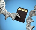 DNA strand with memory storage card