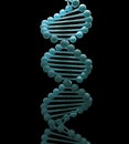 DNA strand model Royalty Free Stock Photo