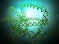 DNA strand model Royalty Free Stock Photo