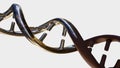 A DNA strand with rust, symbolizes mutation, decay, or damage within genetic material. Royalty Free Stock Photo
