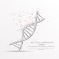 DNA strand symbol low poly wire frame on white background.