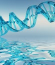 DNA Strand Royalty Free Stock Photo