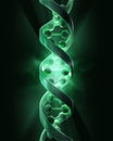 DNA strands Royalty Free Stock Photo