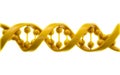 DNA strands Royalty Free Stock Photo