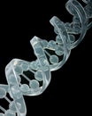 DNA strands Royalty Free Stock Photo