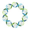 DNA Strands on circle Royalty Free Stock Photo