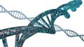 DNA Strands Royalty Free Stock Photo