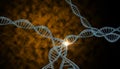 DNA Strands Royalty Free Stock Photo