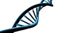 DNA Strands Royalty Free Stock Photo