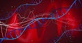 DNA strands and data waves, genetic research image over red background