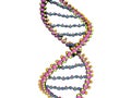 DNA strands of genetic material twisted Royalty Free Stock Photo