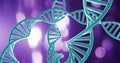 DNA strands image over purple background Royalty Free Stock Photo