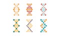 DNA strands set, spiral genetic material signs vector Illustration on a white background