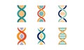 DNA strands set, spiral genetic material vector Illustration on a white background