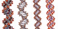 DNA structure