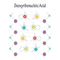 Chemical structure of DNA nucleotides and phosphate sugar backbone Royalty Free Stock Photo