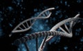 DNA structure, abstract helix molecule plexus on isolated dark blue background. Medical science, genetic biotechnology Royalty Free Stock Photo