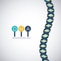 Dna structure chromosome design