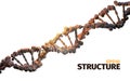 DNA structure. 3d abstract background. Cube elements. Science item