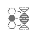 Dna structure, genetics, molecule analysis grey icon.