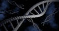 DNA structure of human for clone life bio technology gene. 3D rendering Royalty Free Stock Photo