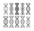 DNA structure Icon set. Structure molecule and cell, chromosome. Genetic engineering. Vector stock illustration