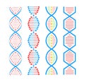 DNA structure Icon set. Structure molecule and cell, chromosome. Genetic engineering. Vector stock illustration