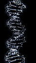 DNA structure isolated on bleck background. 3D illustration