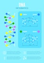 DNA structure and nucleotide base, education vector infographic