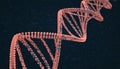 DNA Structure Visualization - A Detailed Look at Genetic Code Royalty Free Stock Photo