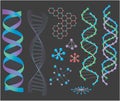 DNA Structures Royalty Free Stock Photo