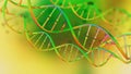 DNA. Study of gene structure of cell. DNA molecule structure