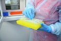 Dna test in the lab. Test tubes with biomaterials in the hands of a laboratory assistant Royalty Free Stock Photo