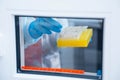 Dna test in the lab. Test tubes with biomaterials in the hands of a laboratory assistant Royalty Free Stock Photo