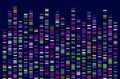 DNA Test White Background Genome Sequence Map Barcoding Royalty Free Stock Photo